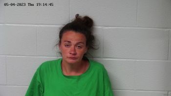 Ashley Dawn Shepherd Mugshot