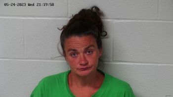 Ashley Dawn Shepherd Mugshot