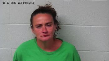 Ashley Dawn Shepherd Mugshot