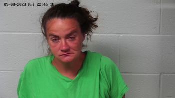 Ashley Dawn Shepherd Mugshot