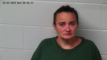 Ashley Dawn Shepherd Mugshot