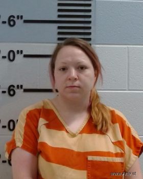 Ashley  Wagner Mugshot