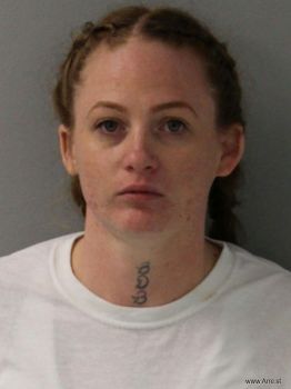 Ashley Nicole Wilson Mugshot