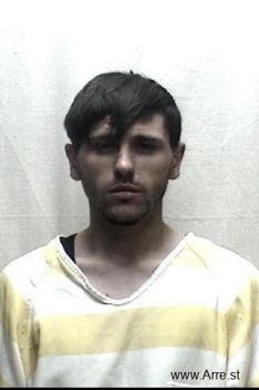 Austin Michael Davis Mugshot