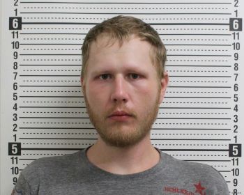 Austin Wade Johnson Mugshot