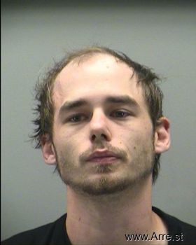 Brandon Michael Collins Mugshot