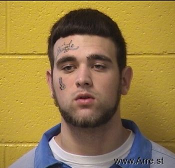 Brandon Austin Reed Mugshot