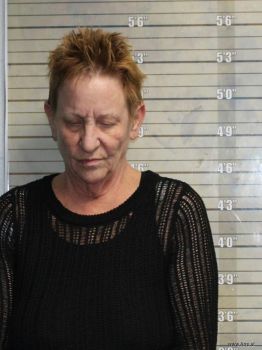 Barbara Lynn Feltzer Mugshot