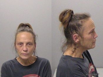 Barbara Lou Makin Mugshot