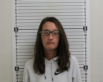 Betsy Elizabeth Smith Mugshot