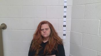 Billie Jo Hopkins Mugshot