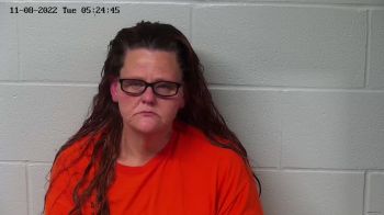 Billie Jo Hopkins Mugshot