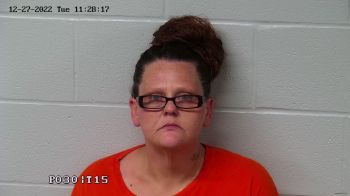 Billie Jo Hopkins Mugshot