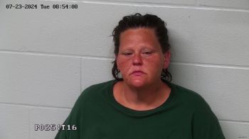 Billie Jo Hopkins Mugshot