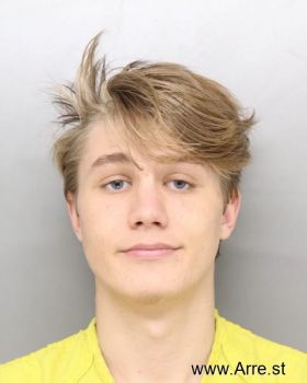 Blake Tanner Michels Mugshot