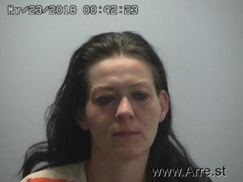 Bobbie Jo Williams Mugshot