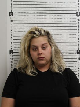 Brandi R Curtis Mugshot