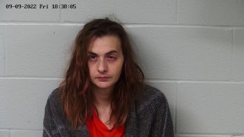 Brandi Danielle Day Mugshot