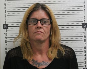 Brandi Nichole Turner Mugshot