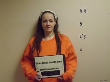 Brandie  Cook Mugshot