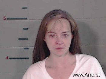 Brandie  Cook Mugshot