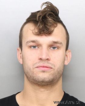 Brandon  Carey Mugshot