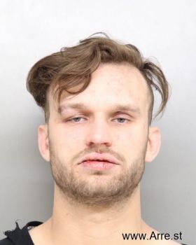 Brandon  Carey Mugshot