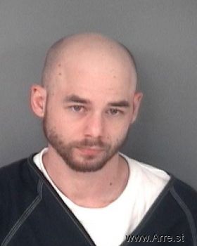 Brandon Michael Collins Mugshot