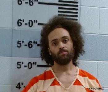 Brandon  Hamilton Mugshot