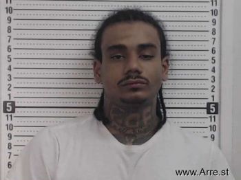 Brandon Michael Large Mugshot