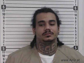 Brandon Michael Large Mugshot