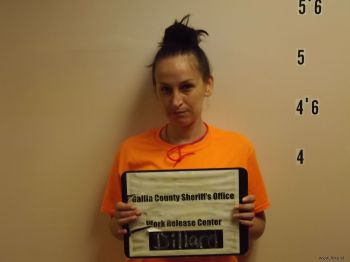 Brandy  Dillard Mugshot