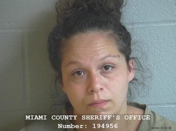 Brandy Ann Hunt S Wa Mugshot