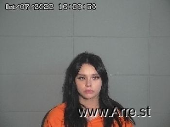 Brandy Lee Johnson Mugshot