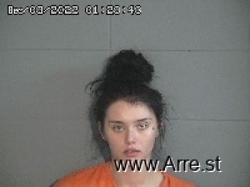 Brandy Lee Johnson Mugshot