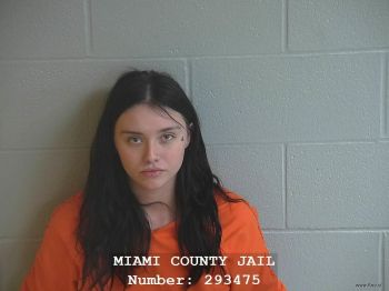 Brandy Lee Johnson Mugshot