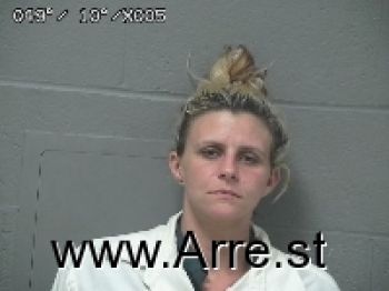 Brandy Nicole Logan Mugshot