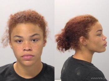 Breanna E Cochran Mugshot