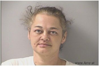 Brenda Lynn Cook Mugshot