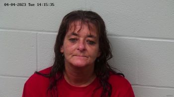 Brenda Ann Wallen Mugshot