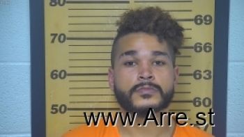 Brett N Freeman Jr Mugshot