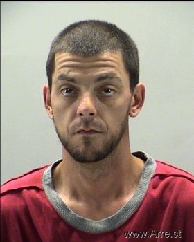 Brian Lee Bolin Mugshot