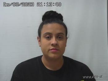 Briana Michelle Burks Mugshot