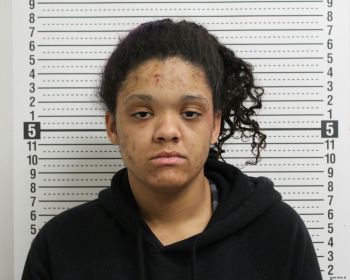 Brianna Marie Biggs Mugshot