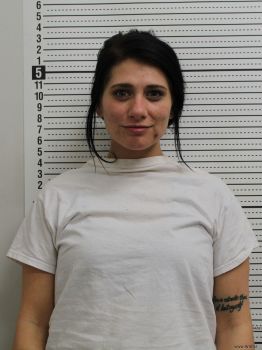 Brianna Paige Wolford Mugshot