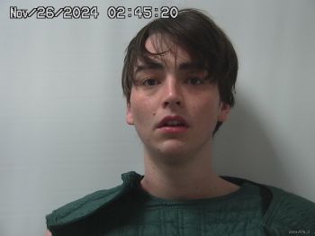 Brice  Baldwin Mugshot