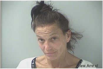 Bridget Renee Johnson Mugshot