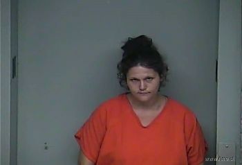 Bridgette Ann Fox Mugshot