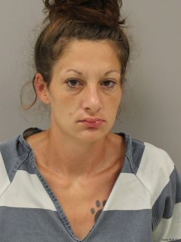 Brittany Nicole Betzner Mugshot