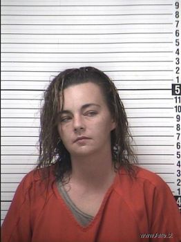 Brittany Renee Bradley Mugshot